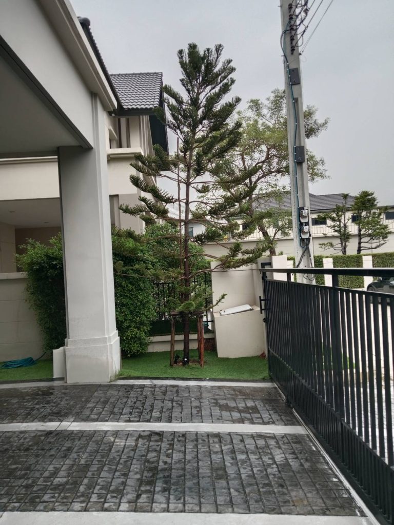 Detached House For Rent