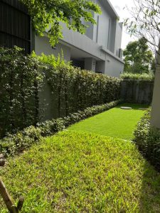 Three Storey House For Sale